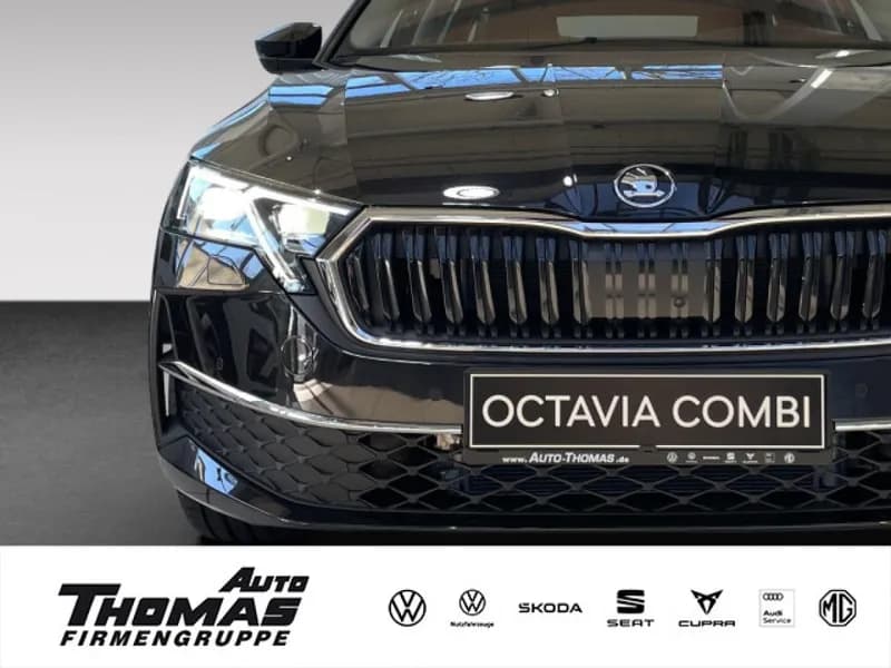 Octavia