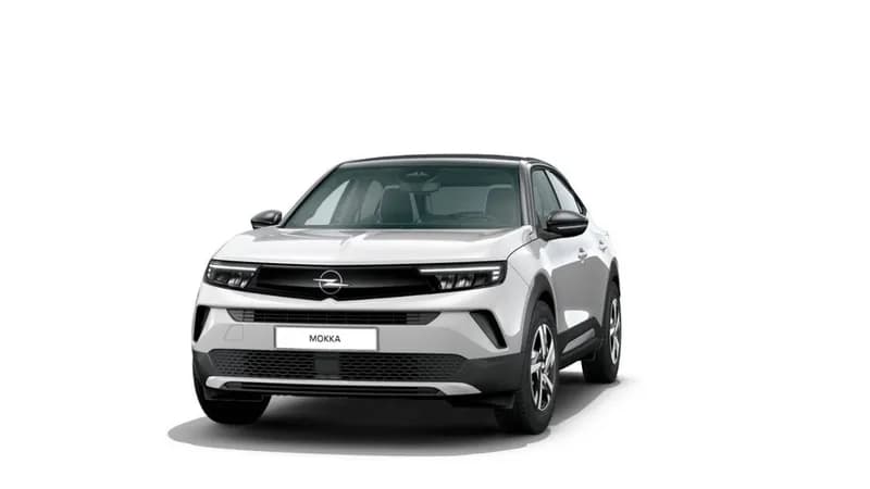 Mokka