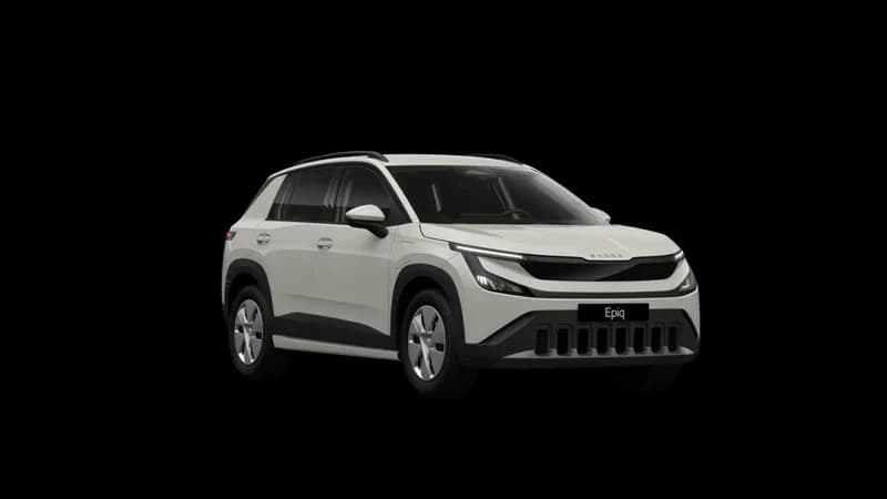 Skoda Andere