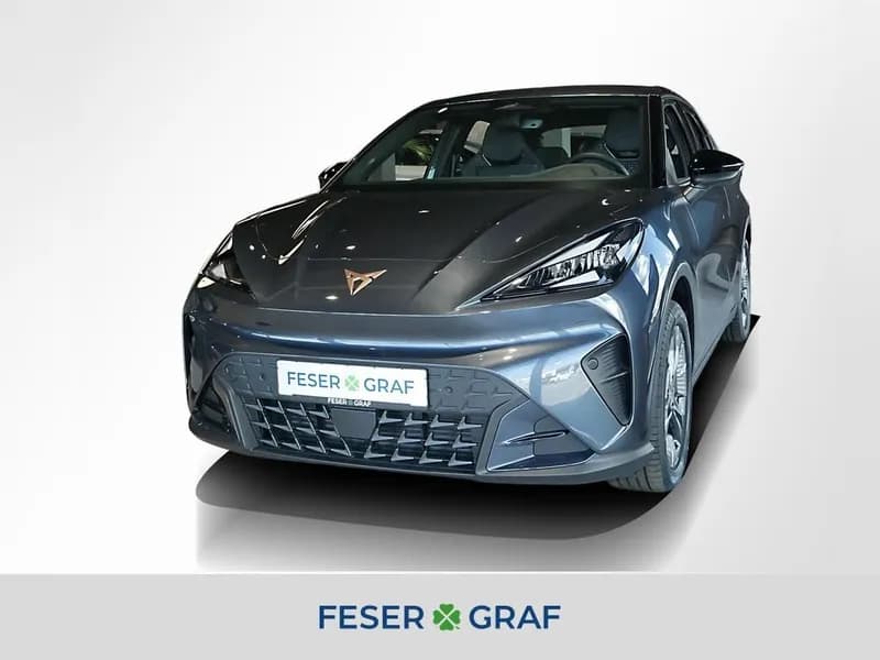 Cupra Raval